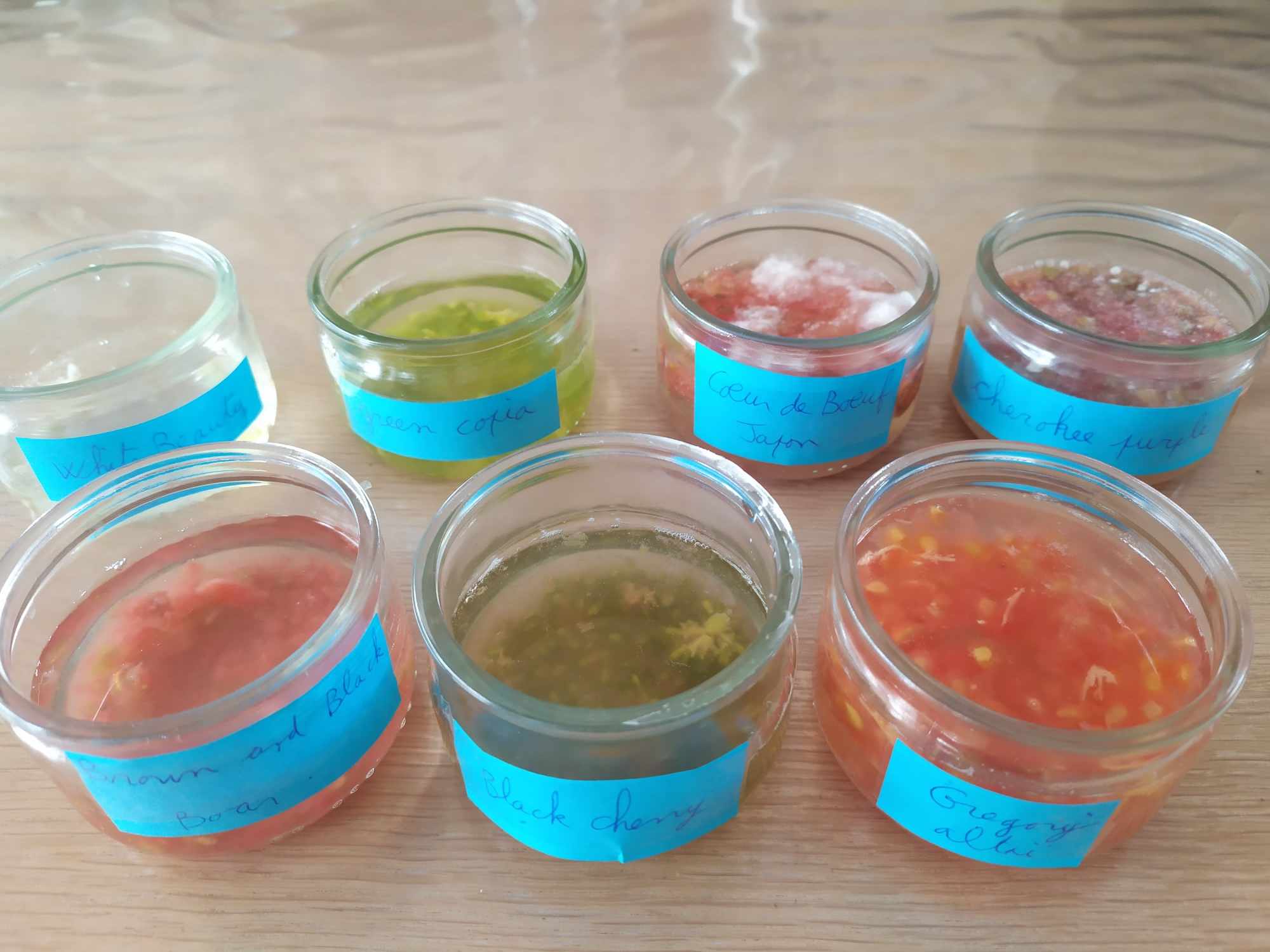 tomate_1.jpg